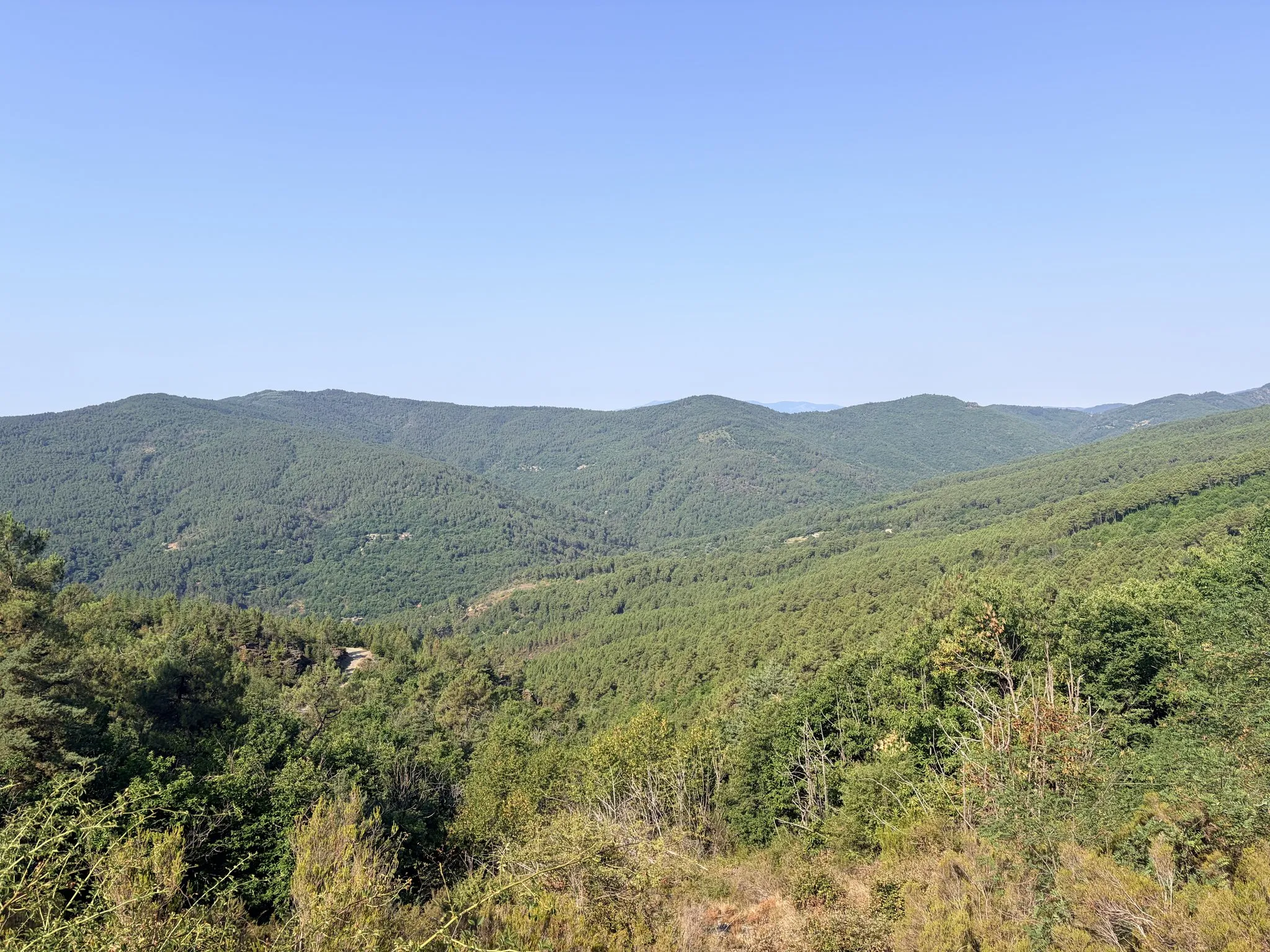 Green ridges, one after the other