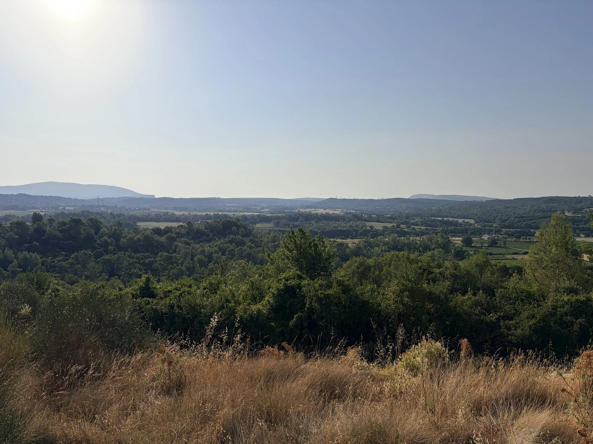 Morning haze over the plain