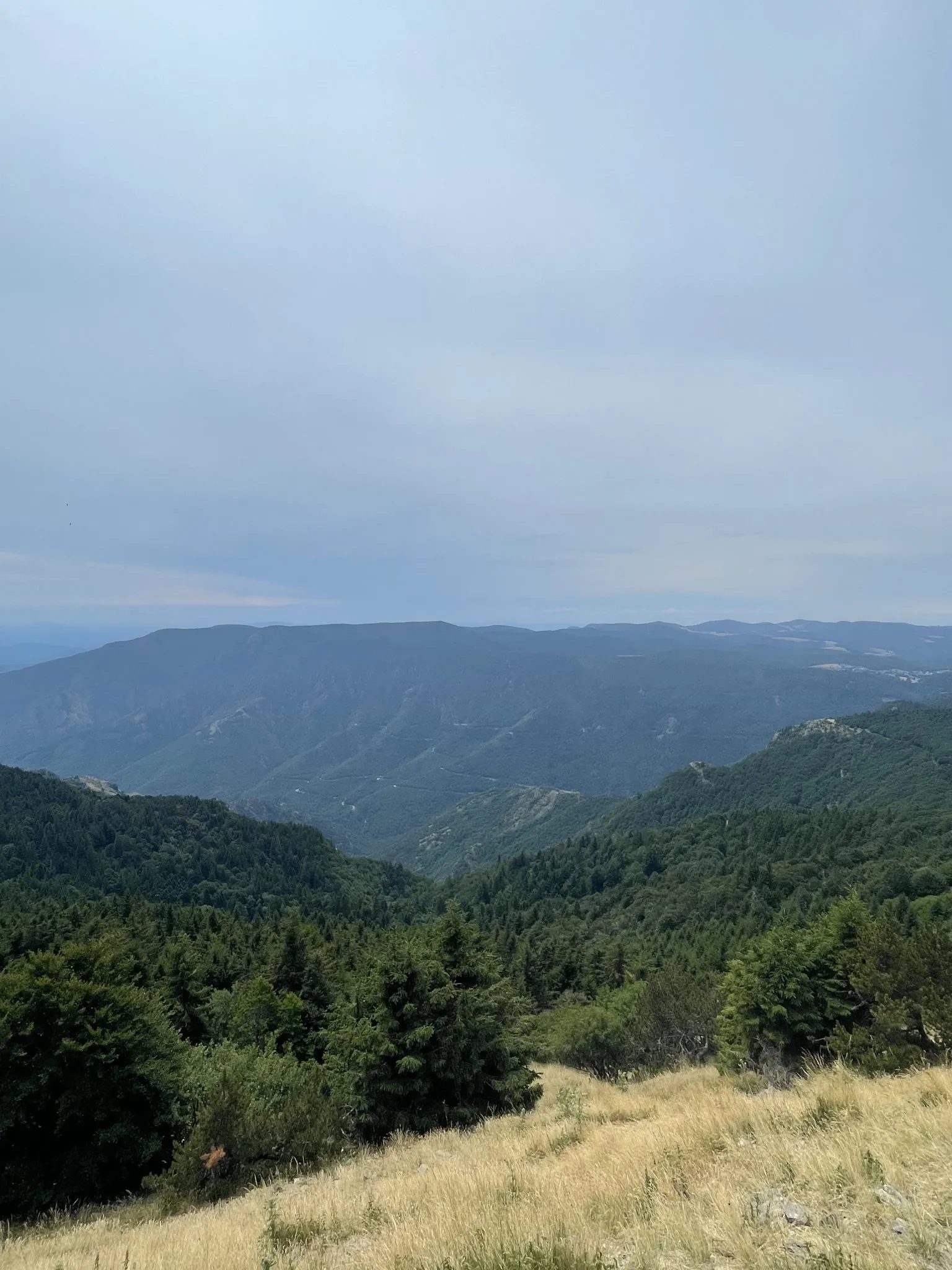 Ridges near the summit