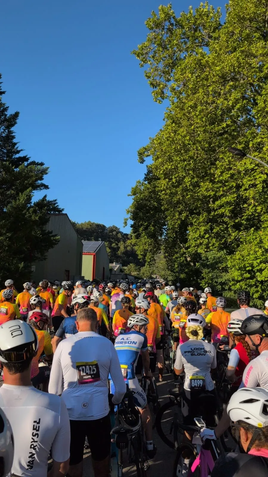 The start pen in Vaison-la-Romaine, early morning