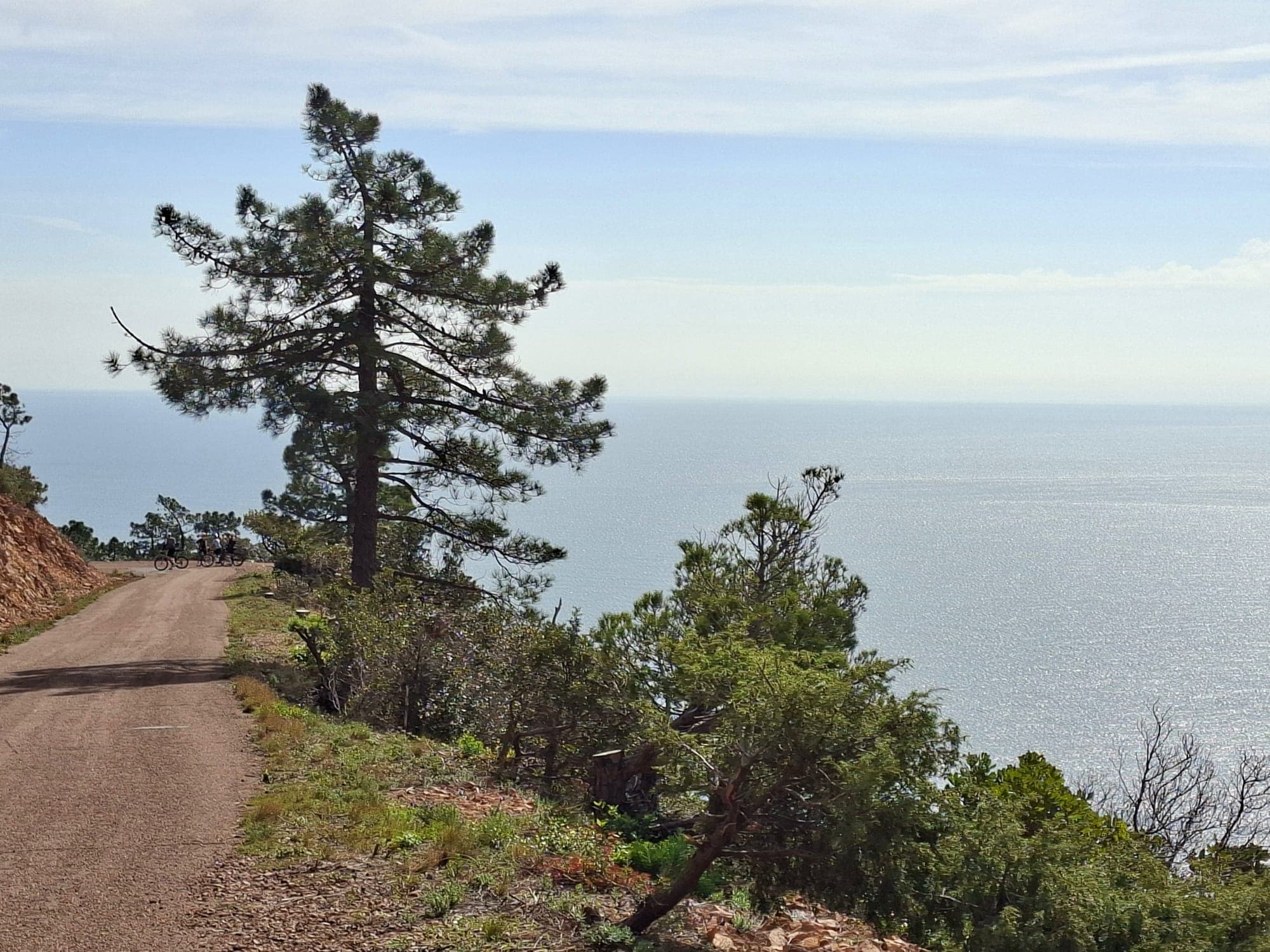 Last one for the road